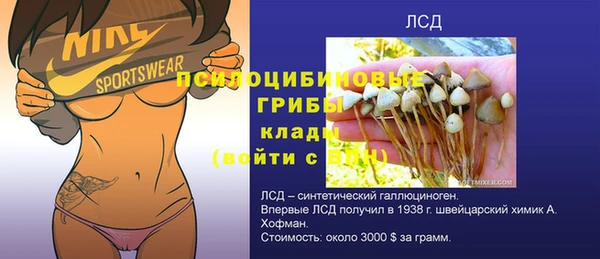 бошки Верхнеуральск