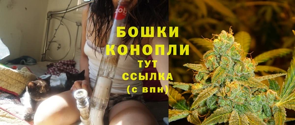 прущие грибы Усолье-Сибирское