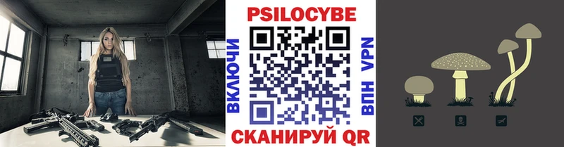Галлюциногенные грибы Cubensis Новохопёрск